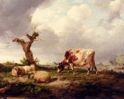 A Cow With Sheep In A Landscape - 托马斯·辛德尼·库珀